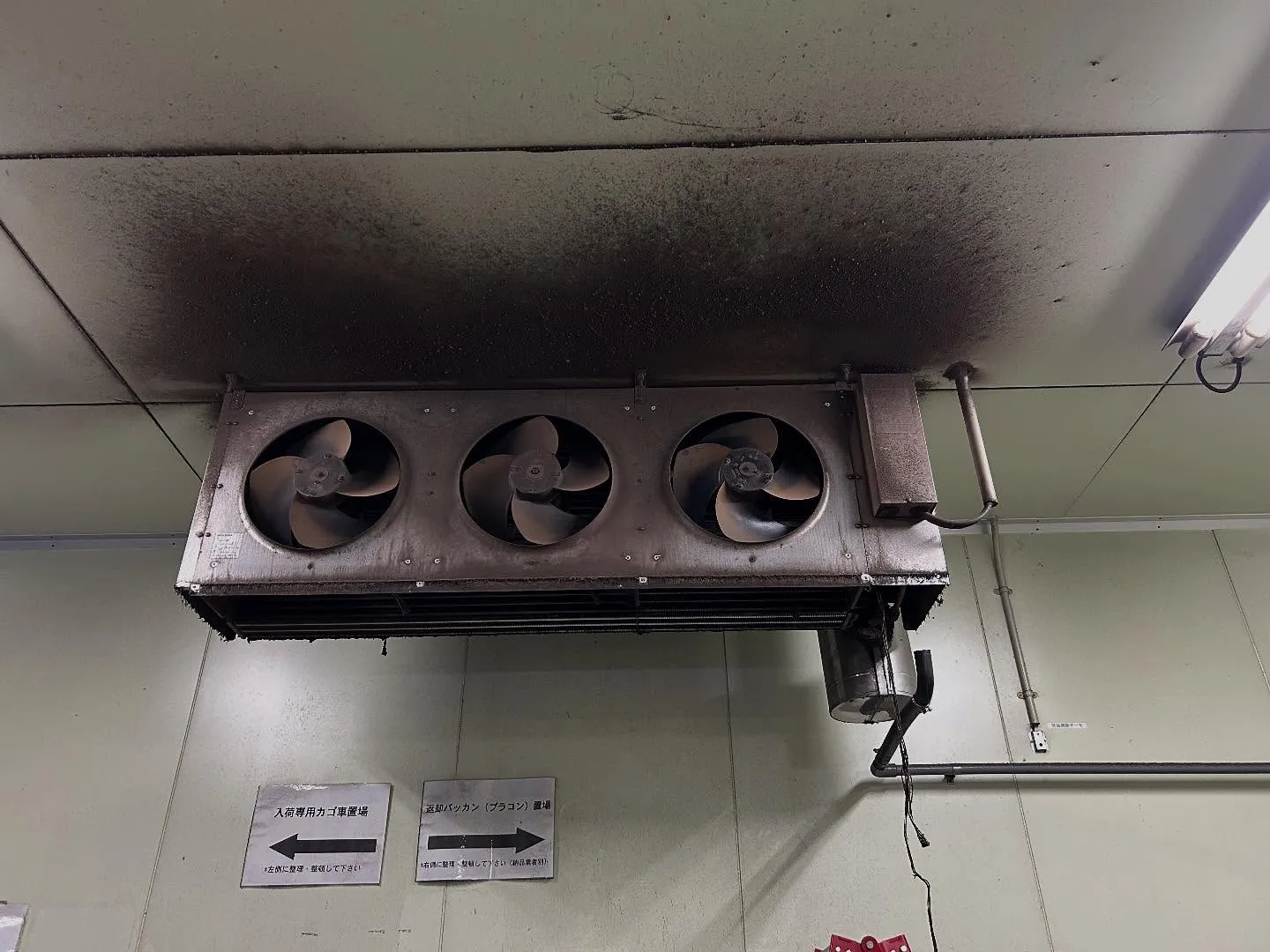 冷却器洗浄作業